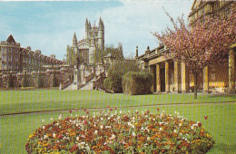 Parade Gardens,  Bath - Somerset - Unused Postcard - SOM1 - Cheddar