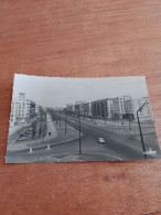 565 //  LE HAVRE / AVENUE FOCH - Unclassified