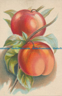 R128732 Old Postcard. Peaches - World