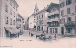 Salvan VS, La Place, Maison De Commune Et Hôtel, Troupeau à La Fontaine (JJ981B) - Salvan