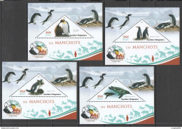 J45 2019 Penguins Manchots Birds Charles Darwin Publication 4Bl Mnh - Sonstige & Ohne Zuordnung
