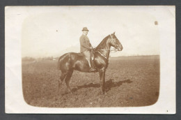 HORSE PFERD CHEVAL, REAL OLD  PHOTO PC, Year 1930s - Paarden