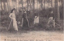 C20-40) TAILLEUSES DE BRUYERES (LANDES) EDITEUR F. BERNEDE , ARJUZANX - EN  1903 - ( 2 SCANS ) - Other & Unclassified