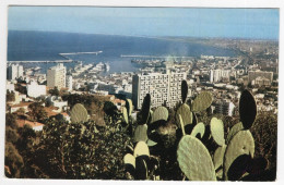 AK 212886 ALGERIA - Alger - Panorama - Algiers