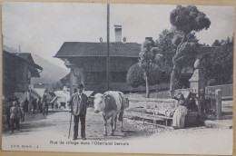 SUISSE BERNE CPA CARTE POSTALE ANCIENNE RUE DE VILLAGE DANS L'OBERLAND BERNOIS - Otros & Sin Clasificación