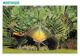 Martinique - Fort De France - Place De La Savane - Arbre Du Voyageur - CPM - Voir Scans Recto-Verso - Fort De France