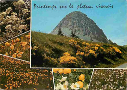 07 - Le Mont Gerbier De Joncs - Multivues - Fleurs - CPM - Voir Scans Recto-Verso - Andere & Zonder Classificatie