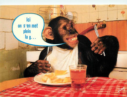 Animaux - Singes - Chimpanzé - Carte à Message - Collection Singeries - Carte Humoristique - Carte Neuve - CPM - Voir Sc - Monos