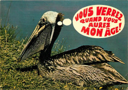 Animaux - Oiseaux - Pélican - Carte Humoristique - Parc Ornithologique Départemental De La Dombes De Villars Les Dombes  - Birds