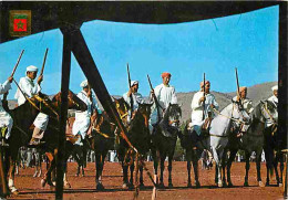 Animaux - Chevaux - Maroc Typique - Cavalerie Typique - Voir Timbre - Blasons - CPM - Voir Scans Recto-Verso - Chevaux