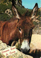 Animaux - Anes - Corse - CPM - Voir Scans Recto-Verso - Donkeys