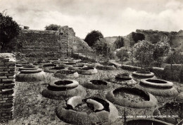 ITALIE - Ostia - Avanzi Dei Magzzini Di Olio - Vue Générale - Carte Postale Ancienne - Other Monuments & Buildings