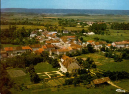 VIEVILLE  ( HAUTE MARNE )    VUE GENERALE  ( TRES DISCRET PLI ) - Other & Unclassified