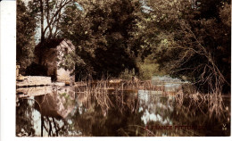 I57.Vintage Tinted Postcard.Picturesque France.River View - Otros & Sin Clasificación