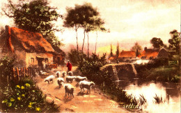 I36. Vintage Postcard. The Setting Sun. Sheep Going Home. - Autres & Non Classés
