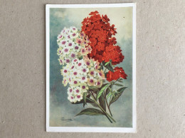 Russia 1969 Ussr - Flowers Fleurs Blumen - Postal Stationery Entier Postal Ganzsachen 1958 - Schilderijen