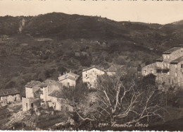 FORCIOLO (Corse Du Sud): Vue Générale - Sonstige & Ohne Zuordnung