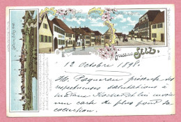 67 - GRUSS Aus SELZ - SELTZ - Litho Couleur Multivues - Salmen Und Schulhaus - Maler L. STERN - Other & Unclassified