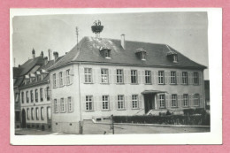 67 - SELTZ - Ecole De Garçon - Nid De Cigognes - Sonstige & Ohne Zuordnung