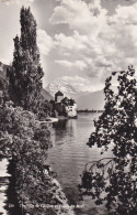 Suisse, Vaud, Château De Chillon Et Dent Du Midi - Autres & Non Classés