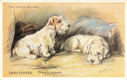 ANIMAUX & FAUNE - Chiens - Débutantes - Grace Et Jeunesse - Carte Postale Ancienne - Honden