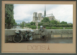 75 - PARIS - La Seine Et Notre-Dame - Notre Dame De Paris