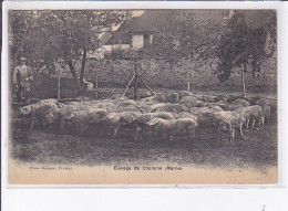 PROVINS: élevage De Chommé - Très Bon état - Other & Unclassified