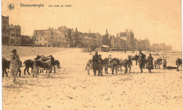 Blankenberghe  Les ânes Au Repos - Blankenberge