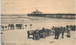 Blankenberghe  Les ânes Au Pier - Blankenberge