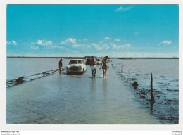 85 ILE DE NOIRMOUTIER N°1900 LE PASSAGE DU GOIS En 1972 Peugeot 403 Renault 4L - Ile De Noirmoutier