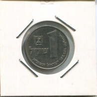 1 SHEQEL 1981 ISRAEL Moneda #AR619.E.A - Israel