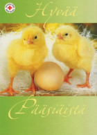 EASTER CHICKEN EGG Vintage Postcard CPSM #PBO661.A - Pâques