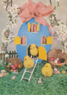 EASTER CHICKEN EGG Vintage Postcard CPSM #PBO606.A - Pâques