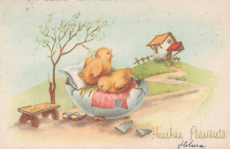 EASTER CHICKEN EGG Vintage Postcard CPA #PKE421.A - Easter