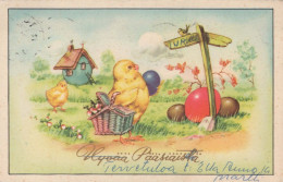 PASQUA POLLO UOVO Vintage Cartolina CPA #PKE408.A - Pasen