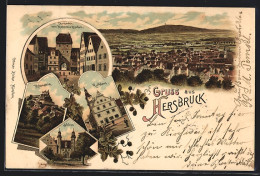 Lithographie Hersbruck, Rathaus, Schloss, Hohenstein Und Thor  - Hersbruck