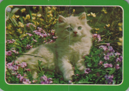 KATZE MIEZEKATZE Tier Vintage Ansichtskarte Postkarte CPSM #PAM365.A - Gatos