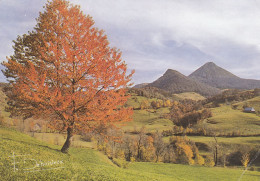 France La Vallée De Mandailles, Au Loin Le Puy Griou (Cantal) - Aurillac