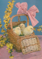 PÂQUES POULET ŒUF Vintage Carte Postale CPSM #PBO614.A - Easter