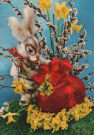 EASTER RABBIT Vintage Postcard CPSM #PBO381.A - Easter