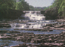 Aygarth Falls Wensleydale - Yorkshire - Unused Postcard - YO3 - Sonstige & Ohne Zuordnung