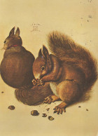 ARDILLA Animales Vintage Tarjeta Postal CPSM #PBS711.A - Sonstige & Ohne Zuordnung