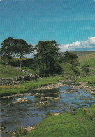 Yorkshire Dales, National Park - Yorkshire - Unused Postcard - YO3 - Andere & Zonder Classificatie