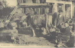 Reproduction De CPA En Morvand  Un Ferrage De Vaches - Craft