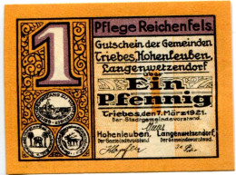 1 PFENNIG 1921 Stadt TRIEBES Thuringia DEUTSCHLAND Notgeld Papiergeld Banknote #PL611 - [11] Lokale Uitgaven