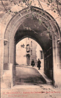 Entrée Du Château - Chambery