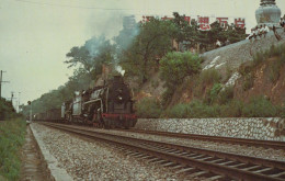 Transport FERROVIAIRE Vintage Carte Postale CPSMF #PAA526.FR - Trains