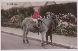 DONKEY Animals Vintage Antique Old CPA Postcard #PAA033.GB - Ezels