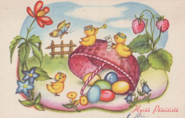 EASTER CHICKEN EGG Vintage Postcard CPA #PKE407.GB - Ostern