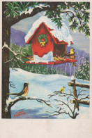 PÁJARO Animales Vintage Tarjeta Postal CPSM #PAM844.ES - Oiseaux